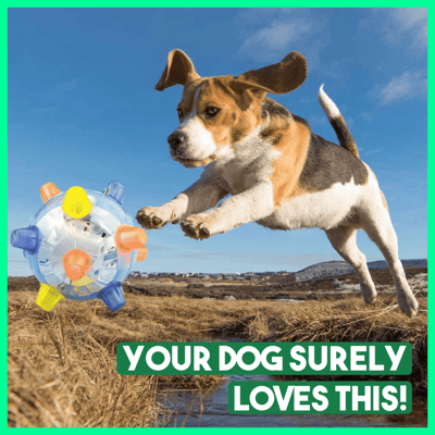 Interaktiver Hundeball | Springend, Leuchtend & Mit Sound | BPA-frei & Langlebig