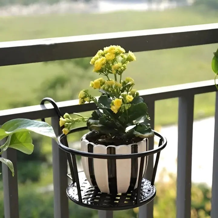 Das Paradies direkt vor deinem Fenster!