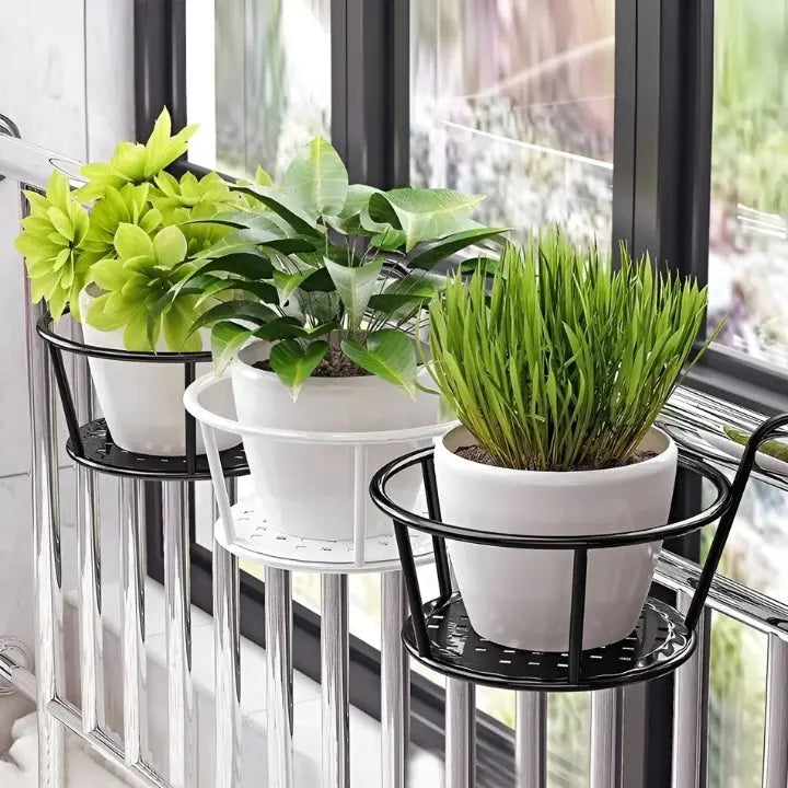 Das Paradies direkt vor deinem Fenster!