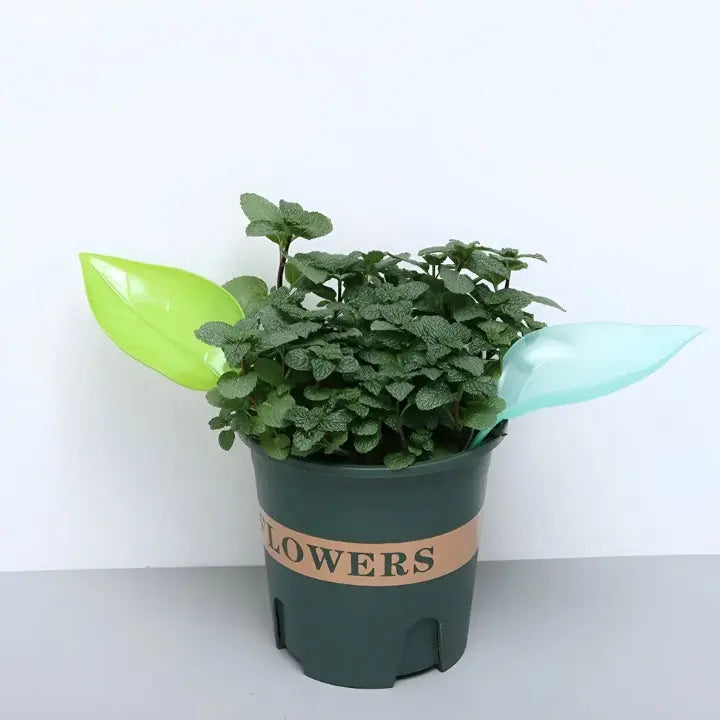 Bewässerung Blatt