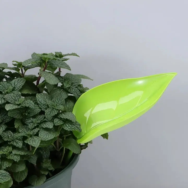 Bewässerung Blatt