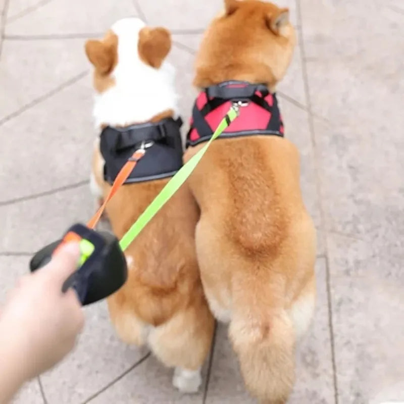50% Rabatt - DualPaws - Mühelose Spaziergänge mit zwei Hunden - [Letzter Tag Rabatt]