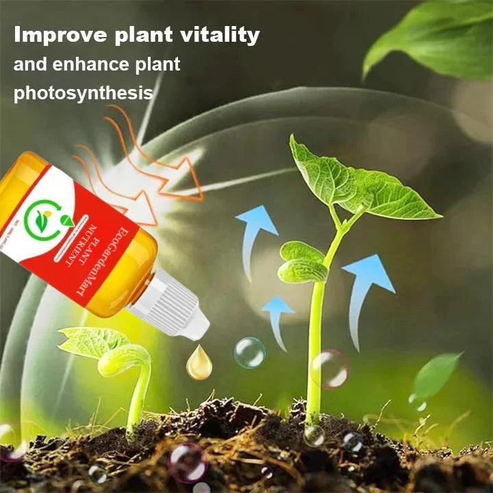 2+1 Gratis | WurzelBelebung™ Schnellere Pflanzenregeneration