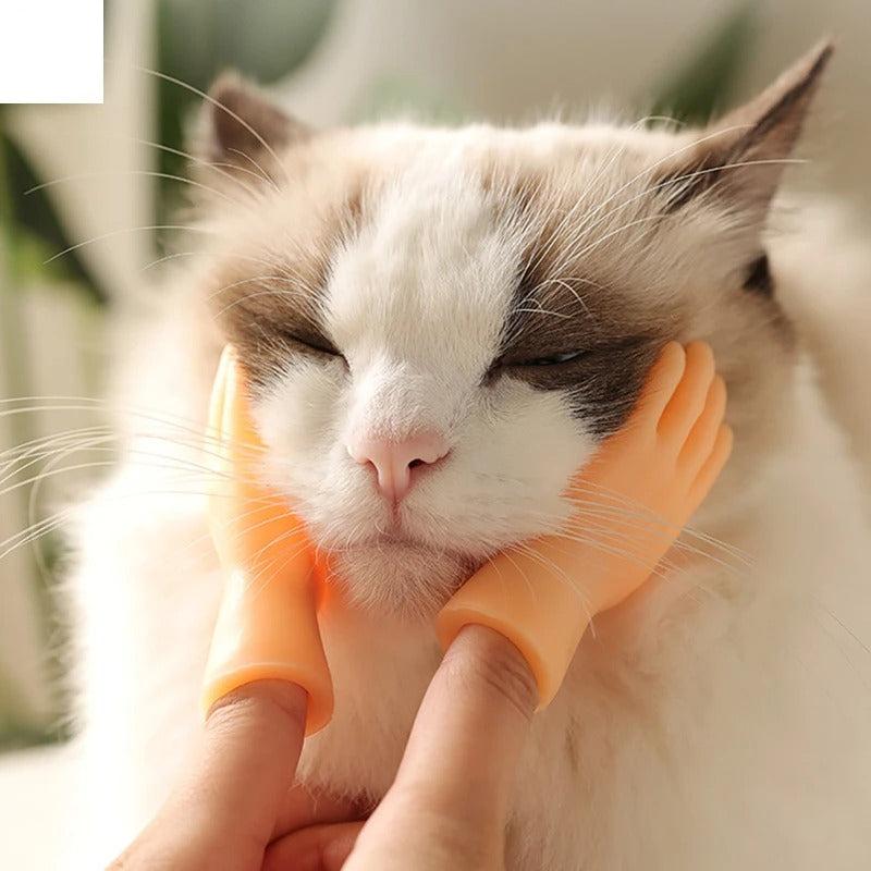 Interaktives Katzen-Spielzeug | Finger-Spielhandschuh aus Gummi | Fördert Bewegung & geistige Aktivität