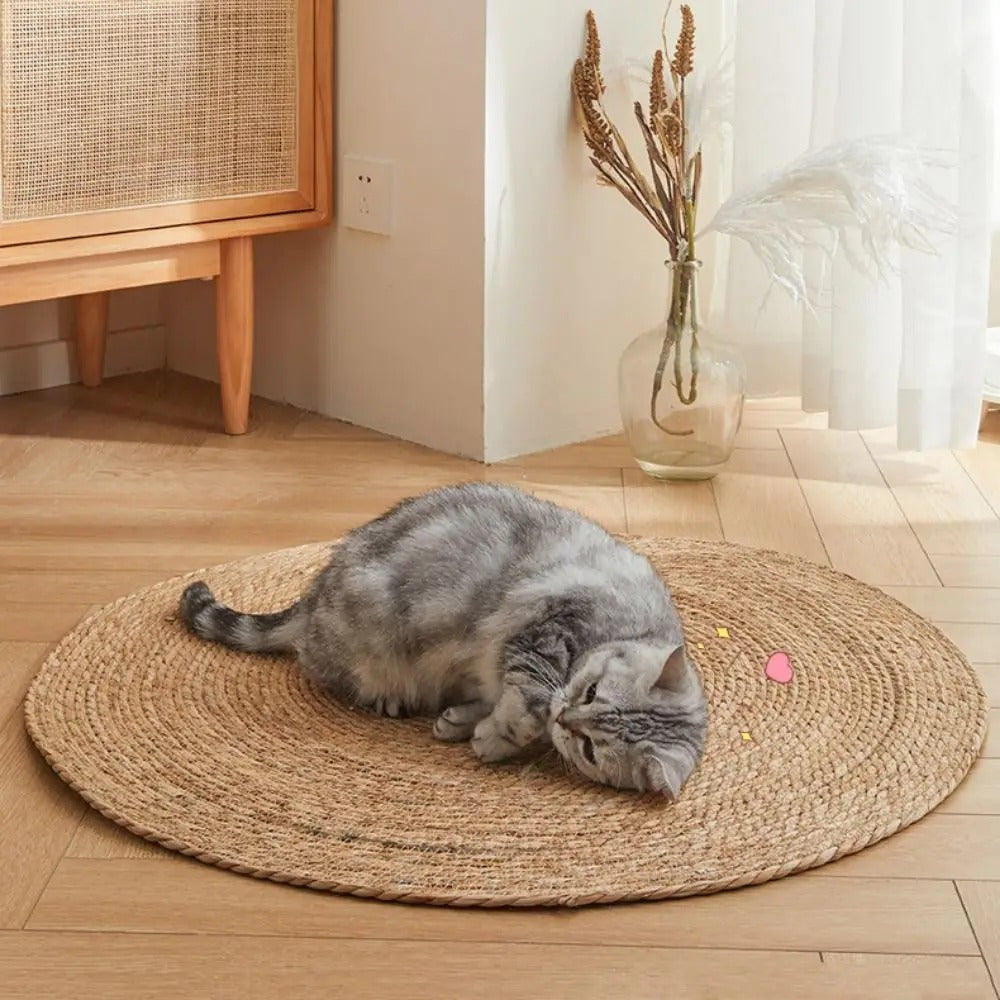 KatzenMatte™ Befriedigt Kratzinstinkte