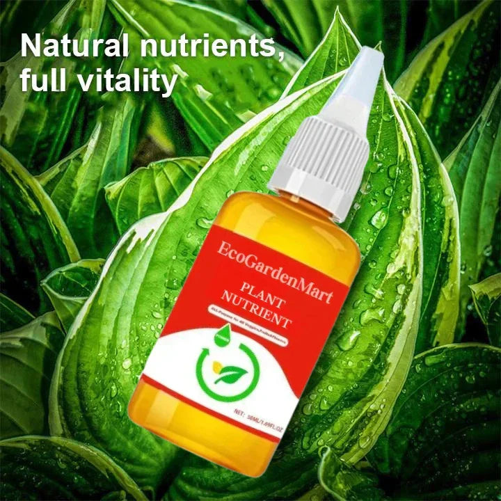 2+1 Gratis | WurzelBelebung™ Schnellere Pflanzenregeneration