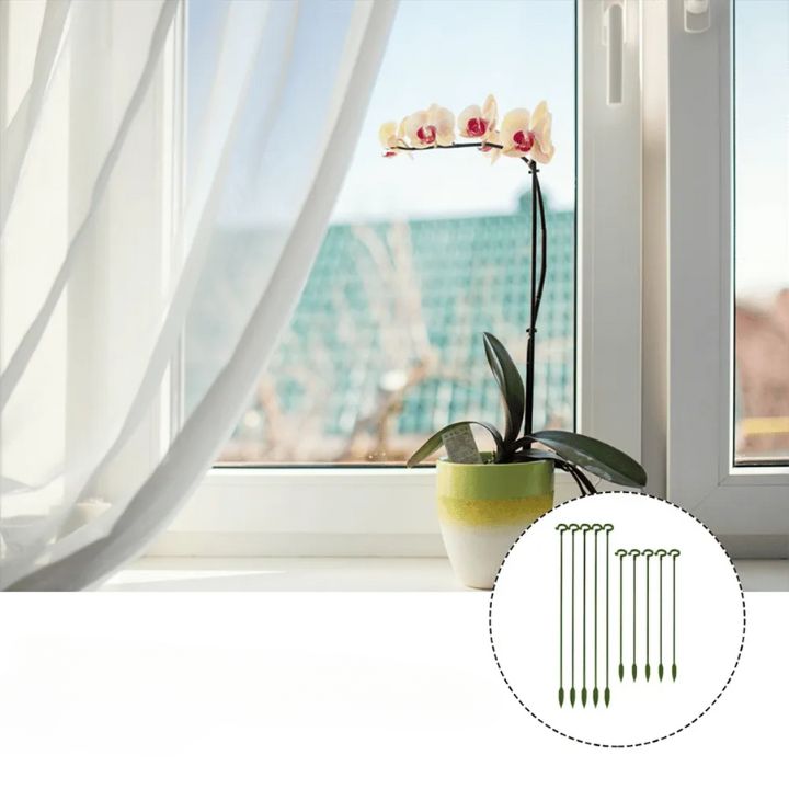 Stabile Rankhilfe für Blumen & Gemüse