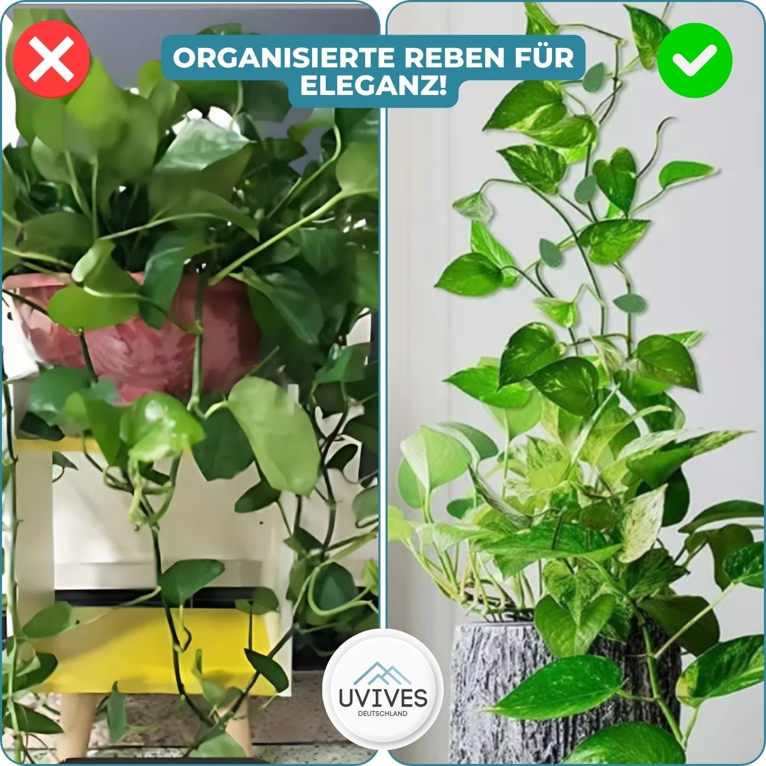Pflanzenbefestigungsklammern