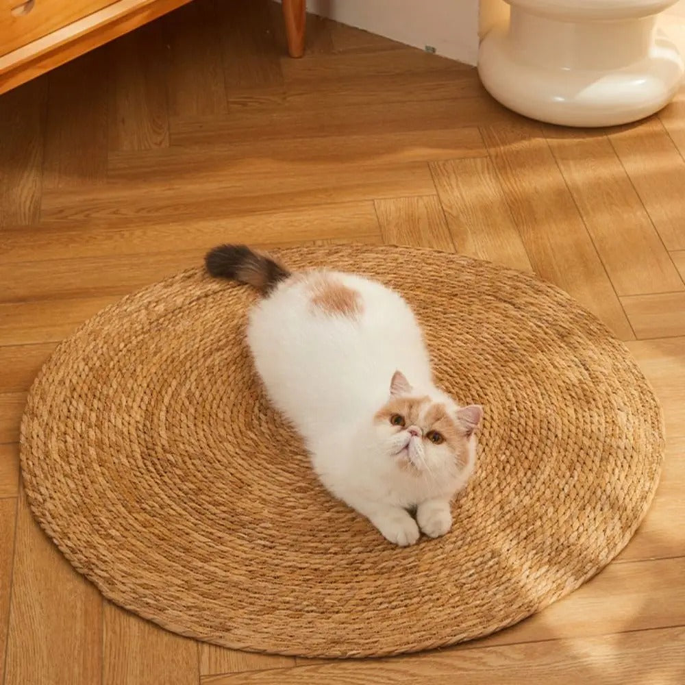 KatzenMatte™ Befriedigt Kratzinstinkte