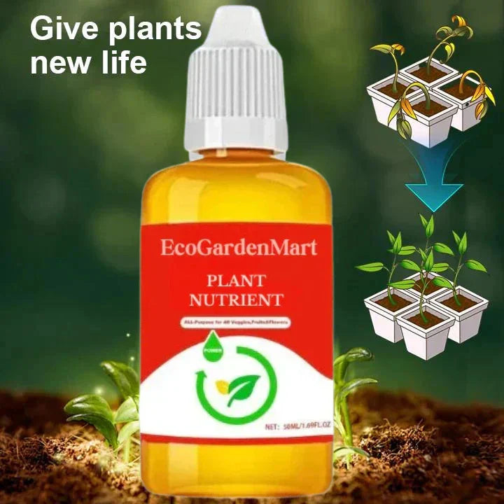 2+1 Gratis | WurzelBelebung™ Schnellere Pflanzenregeneration