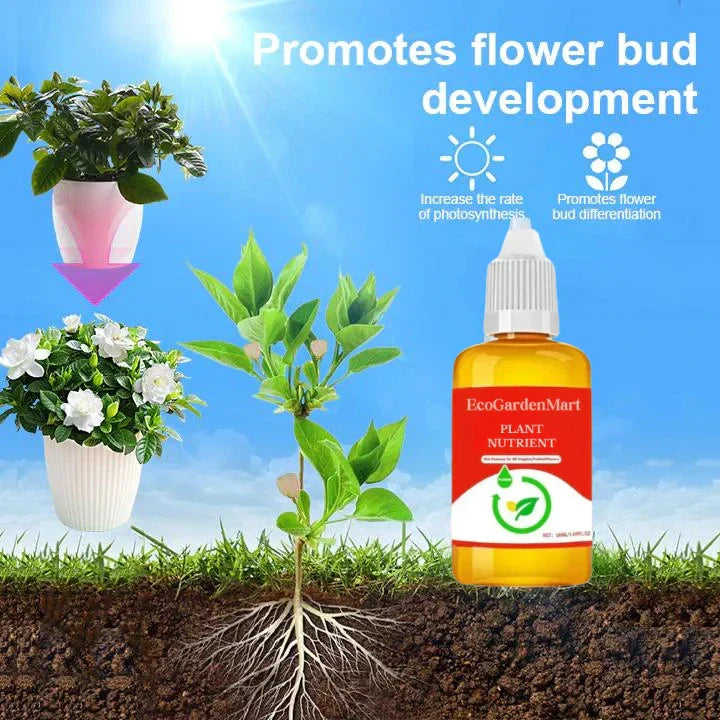 2+1 Gratis | WurzelBelebung™ Schnellere Pflanzenregeneration