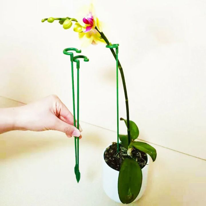 Stabile Rankhilfe für Blumen & Gemüse