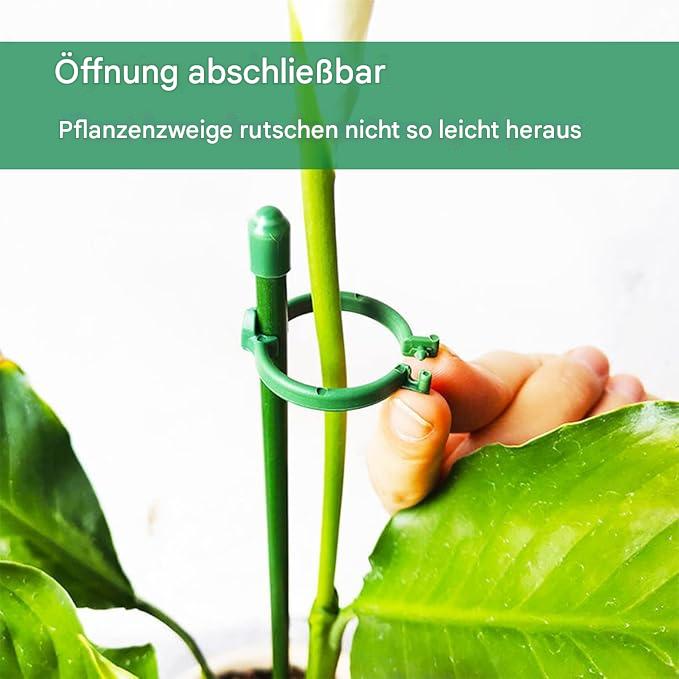 Haltbare Pflanzenstützstäbe für gesundes Wachstum