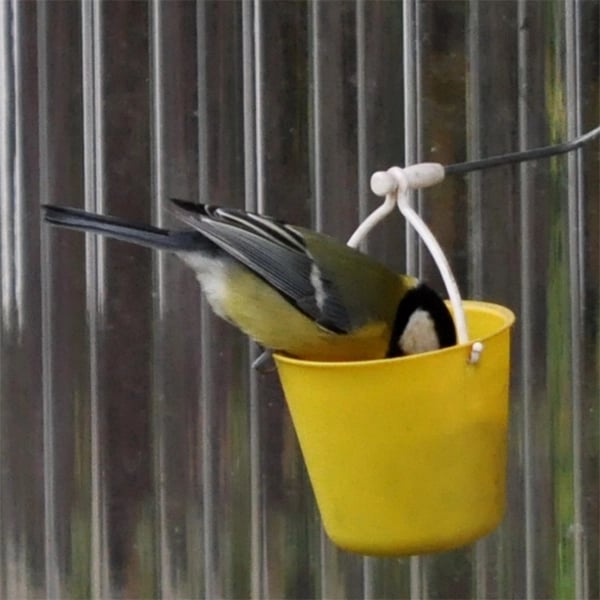 FutterMagie™ Verspielte Vogelunterhaltung