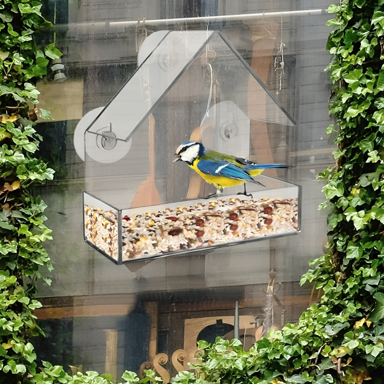 Verwandeln Sie Ihr Fenster in ein persönliches Vogelschutzgebiet!