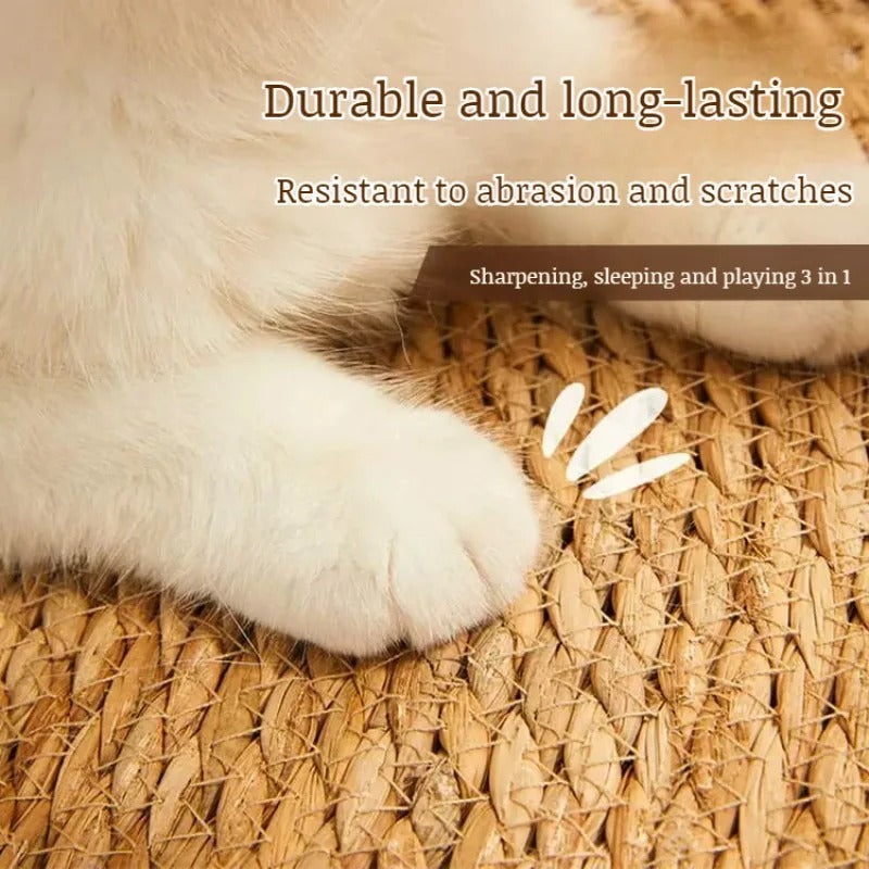 KatzenMatte™ Befriedigt Kratzinstinkte