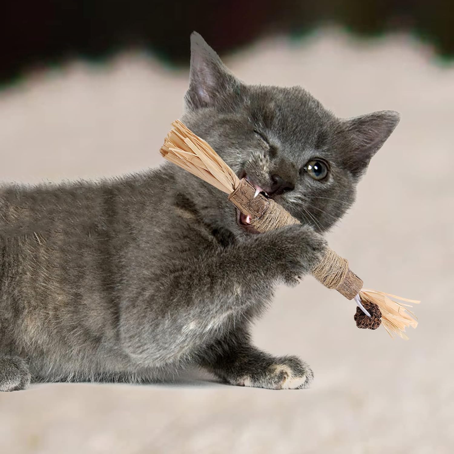 Bissanzeiger™ Erfrischt den Katzenatem