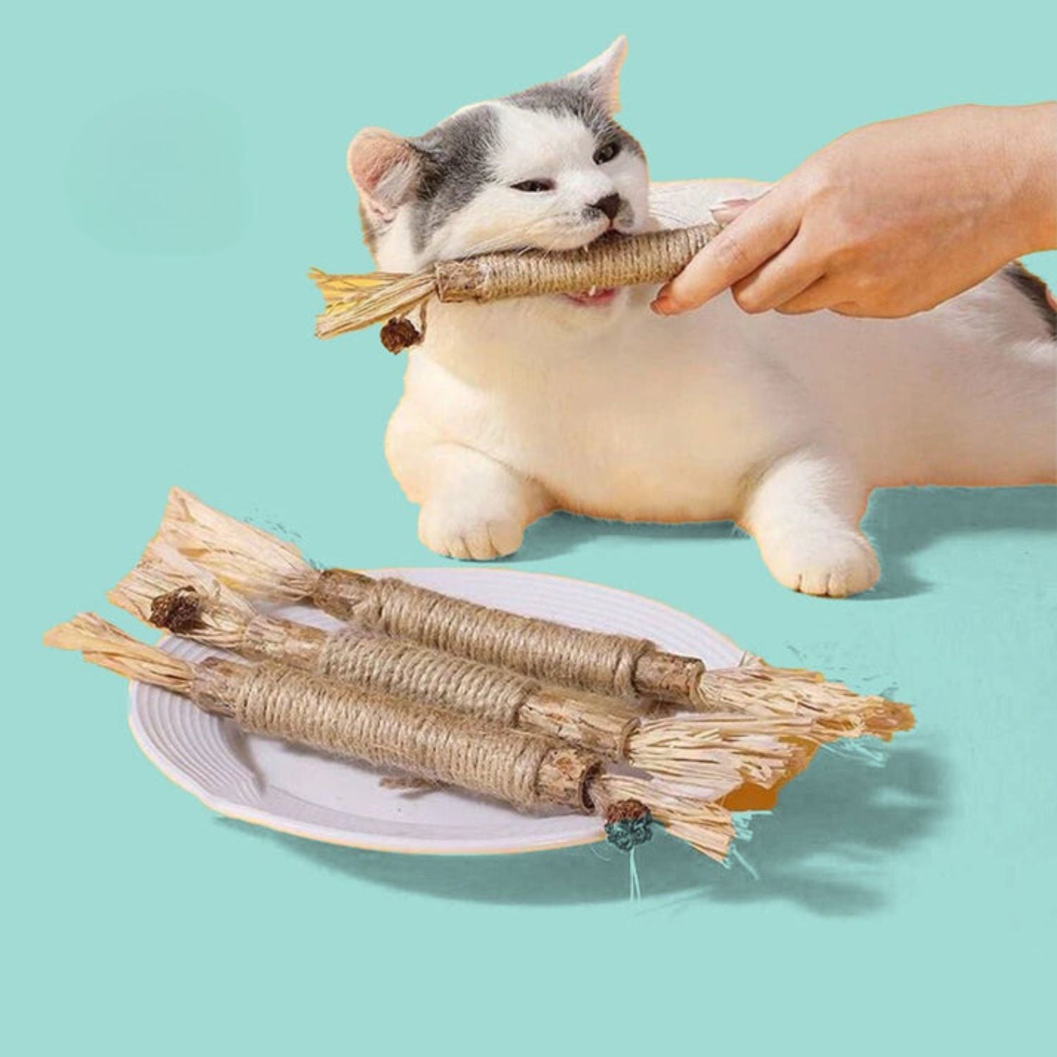 Bissanzeiger™ Erfrischt den Katzenatem