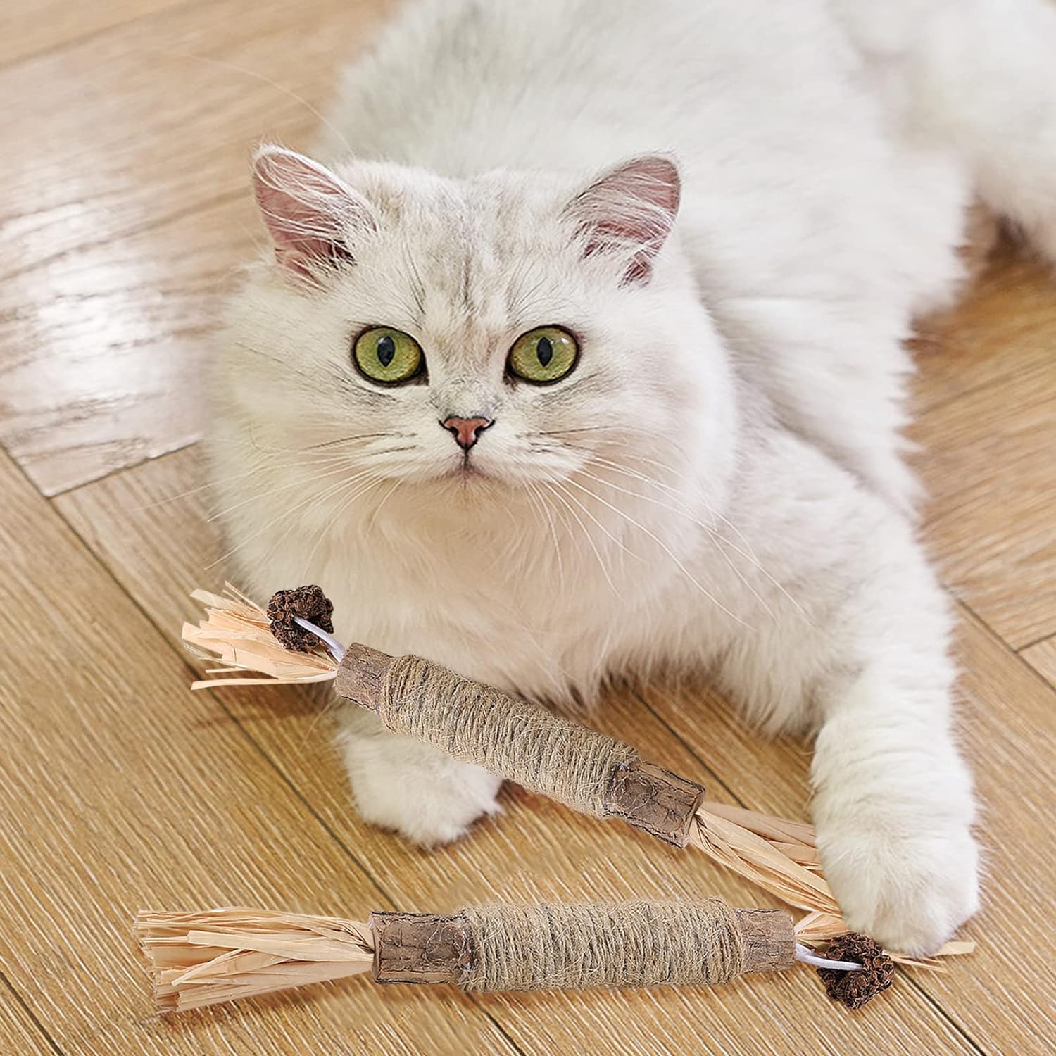 Bissanzeiger™ Erfrischt den Katzenatem