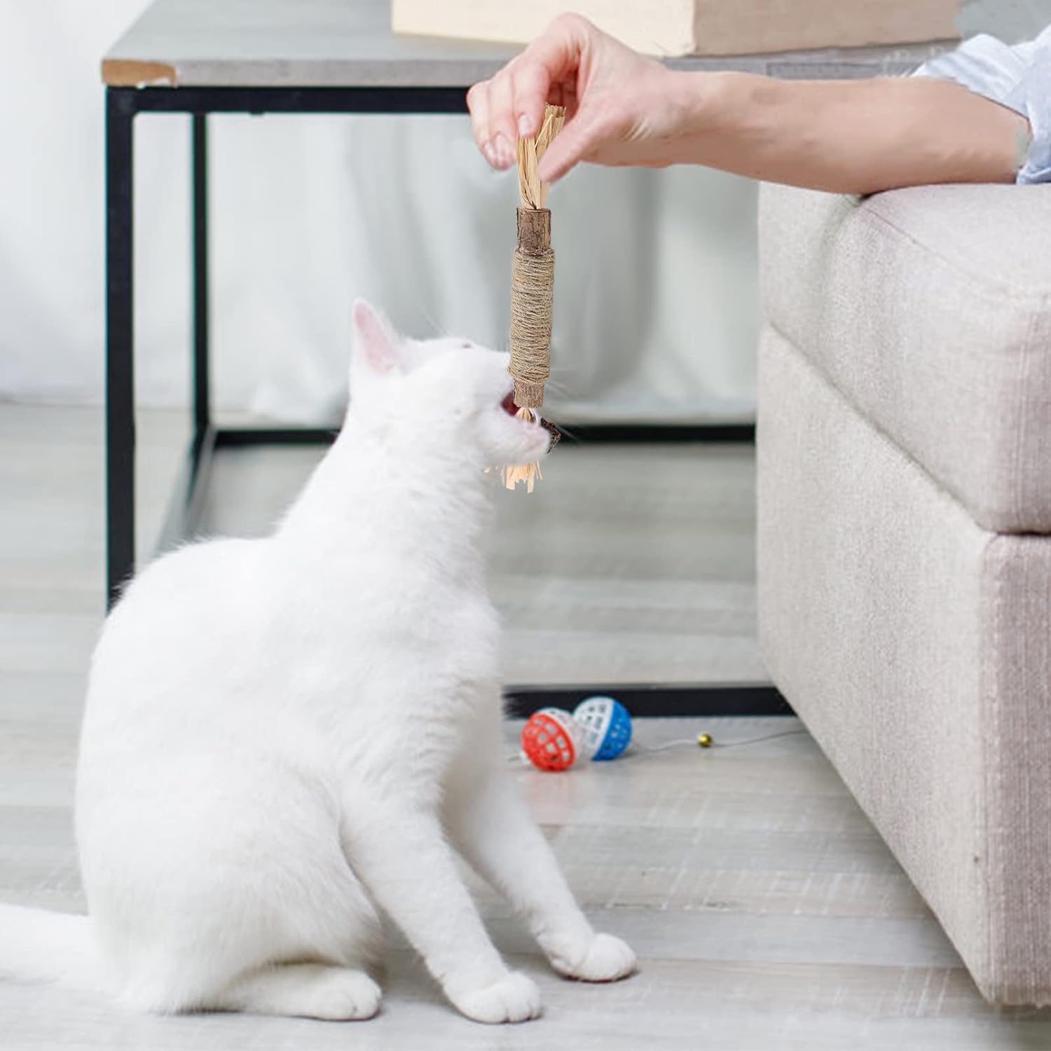 Bissanzeiger™ Erfrischt den Katzenatem