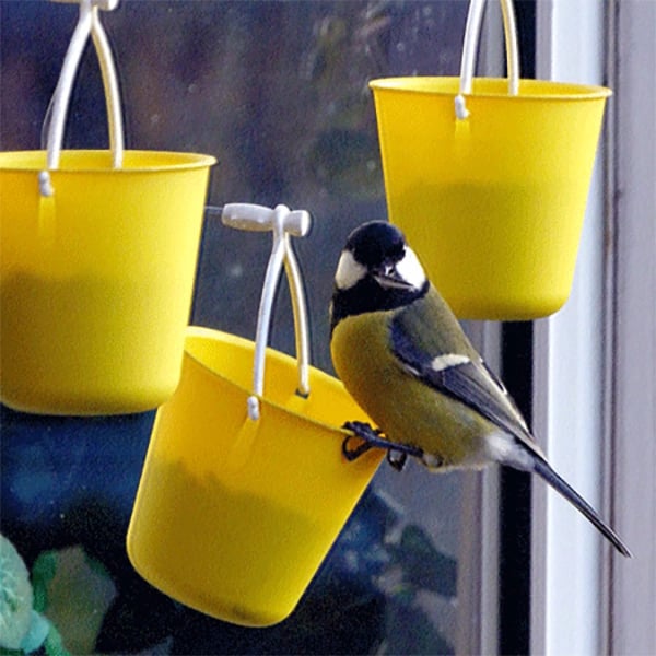 FutterMagie™ Verspielte Vogelunterhaltung