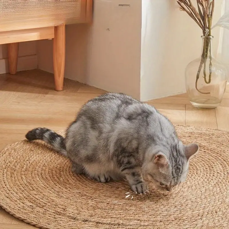 KatzenMatte™ Befriedigt Kratzinstinkte
