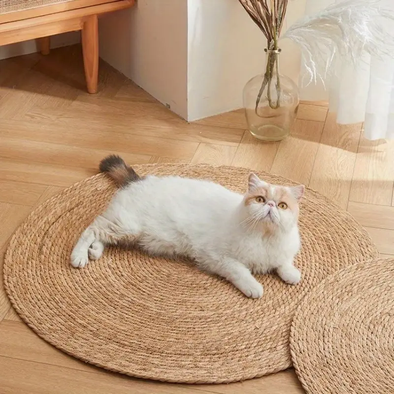 KatzenMatte™ Befriedigt Kratzinstinkte