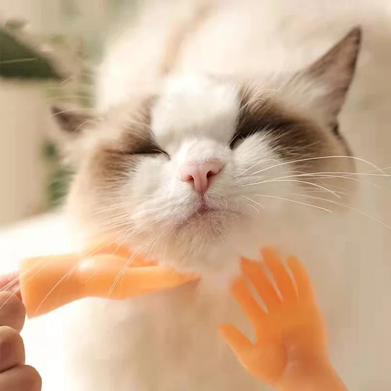 Interaktives Katzen-Spielzeug | Finger-Spielhandschuh aus Gummi | Fördert Bewegung & geistige Aktivität