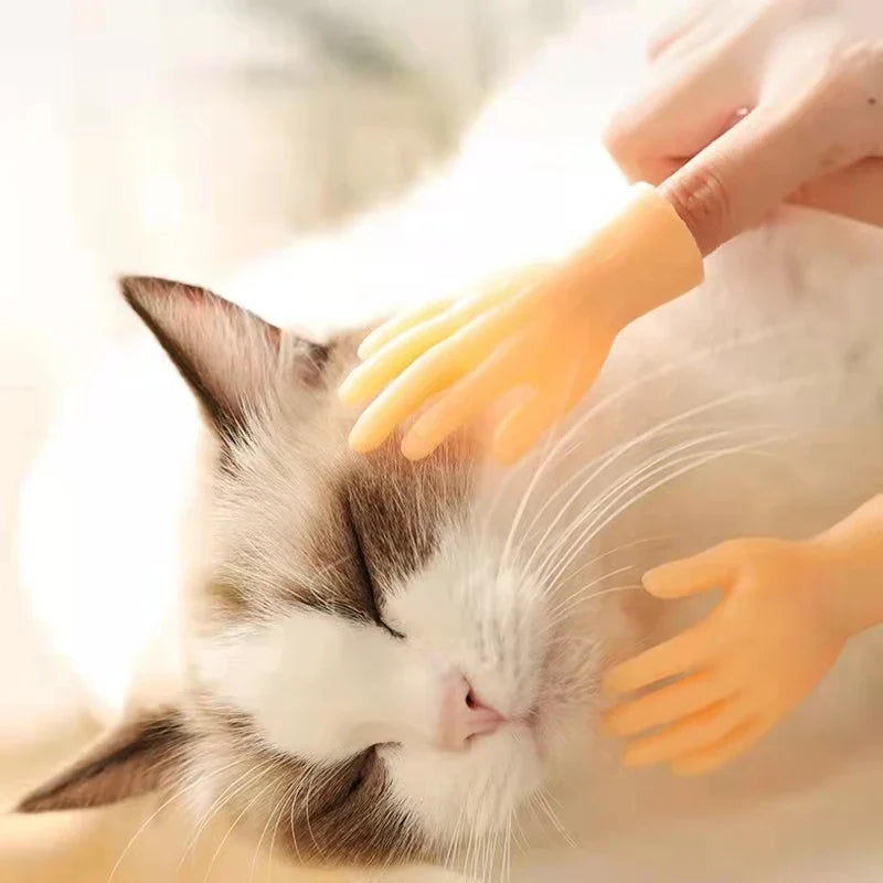 Interaktives Katzen-Spielzeug | Finger-Spielhandschuh aus Gummi | Fördert Bewegung & geistige Aktivität