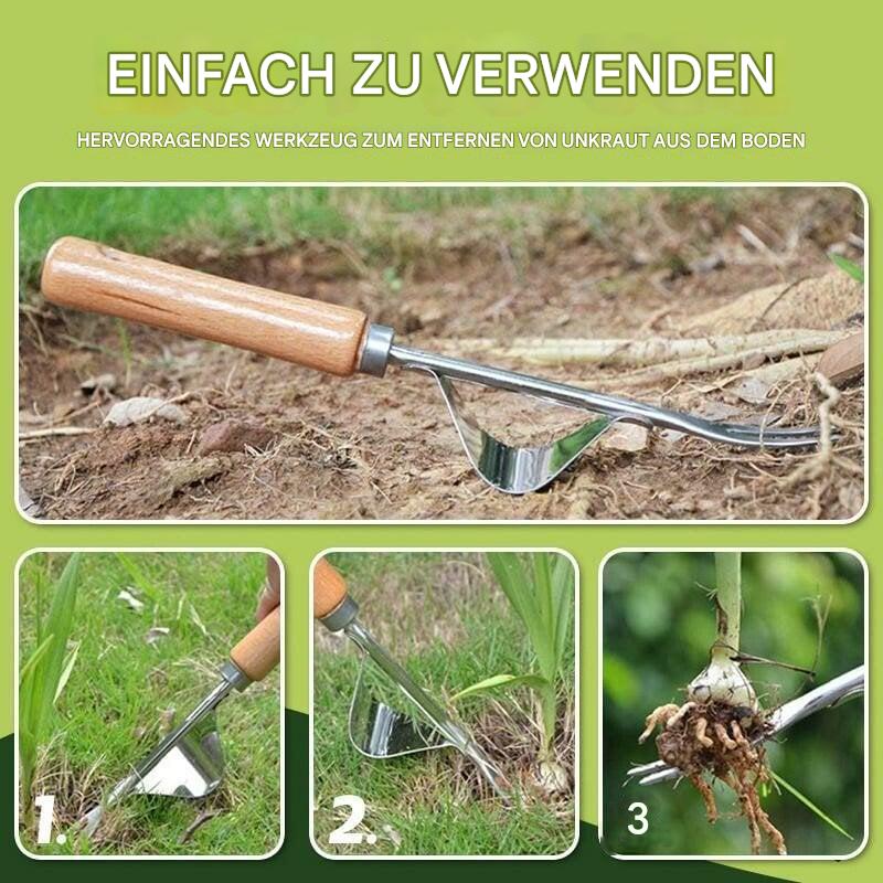 Pflanze ziehen