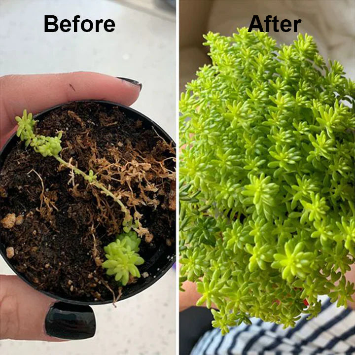 2+1 Gratis | WurzelBelebung™ Schnellere Pflanzenregeneration