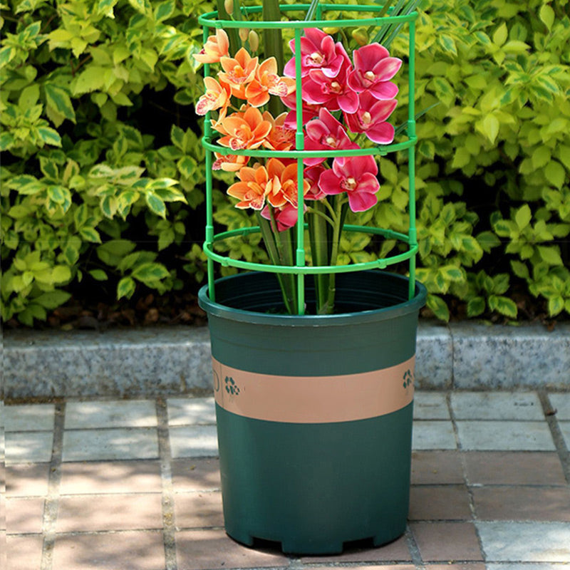 Abnehmbare Pflanzenstütze für Blumen und Früchte